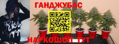 метадон Гатчина