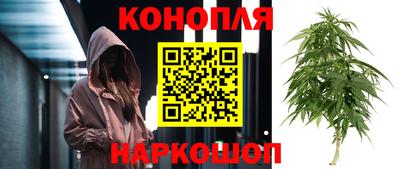 гидропоника Бузулук