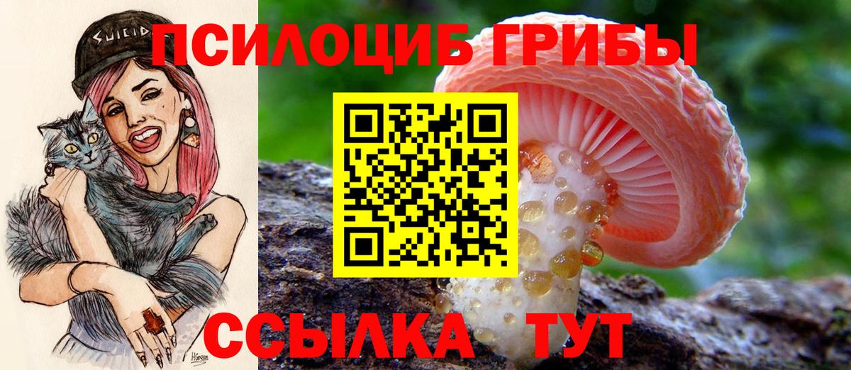 Псилоцибиновые грибы Cubensis Воронеж