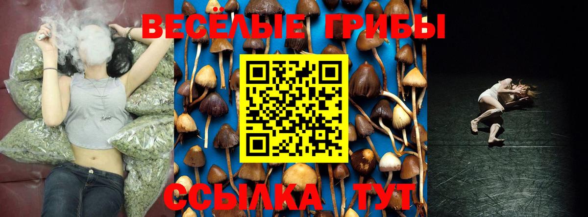 Галлюциногенные грибы Psilocybine cubensis  Вход с VPN  Воронеж  Галлюциногенные грибы Psilocybine cubensis 